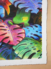 Load image into Gallery viewer, Pocket Monsters